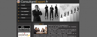 Site web consultantexport